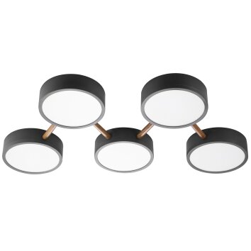 NOWA Diego 5-flammige LED Deckenlampe 3000 K 3400 lm IP20 dimmbar Anthrazit Naturfarben