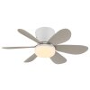 Globo Delores Deckenventilator mit Beleuchtung LED 5 Watt 560 Lumen 2700-6500 Kelvin