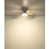 Globo Delores Deckenventilator mit Beleuchtung LED 5 Watt 560 Lumen 2700-6500 Kelvin