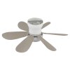 Globo Delores Deckenventilator mit Beleuchtung LED 5 Watt 560 Lumen 2700-6500 Kelvin