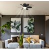 Globo Delores LED Deckenventilator mit Beleuchtung und Fernbedienung, Ø 51 cm