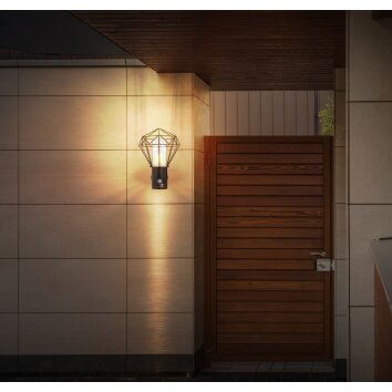 Globo Horace Außenwandleuchte Fassadenlampe E27 IP44 Metallkäfig Modern