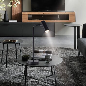SCHÖNER WOHNEN-Kollektion RIK schwenkbare Metalltischleuchte GU10 mit Schalter am Kabel