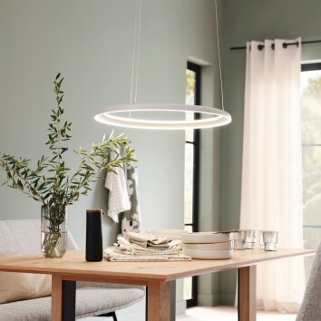 Schöner Wohnen-Kollektion QUILLO sandfarbene LED Ring-Pendelleuchte 3000 K 4860 lm 36 W