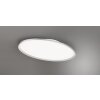 Trio Leuchten Flache ovale LED-Deckenleuchte im modernen Stil, 6500 Kelvin tageslichtweiß