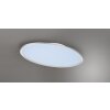 Trio Leuchten Flache ovale LED-Deckenleuchte im modernen Stil, 6500 Kelvin tageslichtweiß
