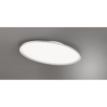 Trio Leuchten Flache ovale LED-Deckenleuchte im modernen Stil, 6500 Kelvin tageslichtweiß