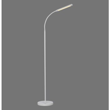 Paul Neuhaus LED Stehlampe ELLY, Lichtfarbe einstellbar 3000 Kelvin warmweiß, verstellbar