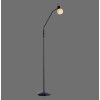 Leuchten Direkt Stehlampe LOKI, flexibler Bogenarm, verstellbar, 3000 Kelvin warmweiß