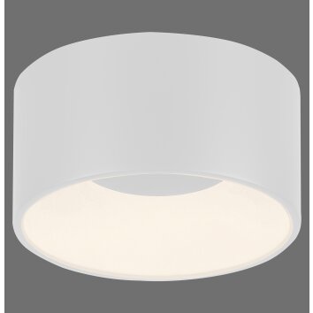 Leuchten Direkt LED Zylinder-Deckenleuchte TANIKA mit Memoryfunktion, 3000 Kelvin warmweiß