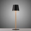 Leuchten Direkt LED Tischleuchte EURIA, 3000 Kelvin warmweiß, konischer Schirm