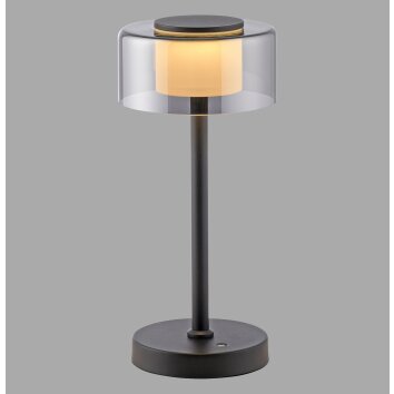 Paul Neuhaus LED Tischleuchte RIKA mit Memoryfunktion und zylindrischem Rauchglasschirm