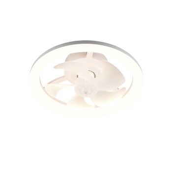 Reality LED Deckenventilator Pajala, dimmbar, Lichtfarbe einstellbar 2700-6500 Kelvin