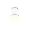 Reality LED Deckenventilator Moss, Lichtfarbe einstellbar 2700-6500 Kelvin