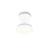 Reality LED Deckenventilator Moss, Lichtfarbe einstellbar 2700-6500 Kelvin
