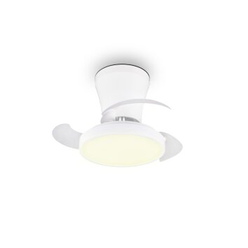 Reality LED Deckenventilator Moss, Lichtfarbe einstellbar 2700-6500 Kelvin