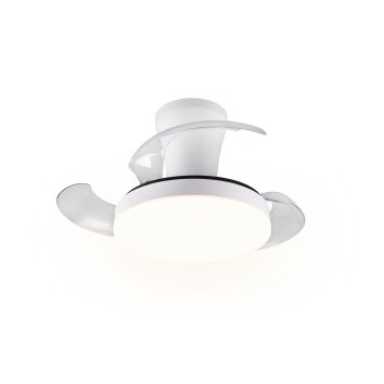 Reality LED Deckenventilator Tampere, Lichtfarbe einstellbar 2700-6500 Kelvin