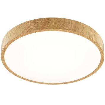 Brilliant Leuchten LED Deckenleuchte Teranon mit flacher runder Bauform, 3000 Kelvin warmweiß