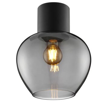 Brilliant Tropfen-Deckenleuchte Ligari mit rauchfarbenem Glasschirm im modernen Stil