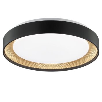 Brilliant dimmbare LED Deckenleuchte Waldo, Lichtfarbe einstellbar 3000-6500 Kelvin