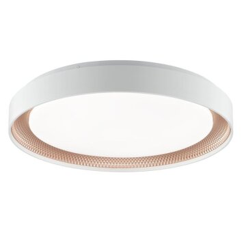 Brilliant flache LED-Deckenleuchte Waldo, Lichtfarbe einstellbar 3000-6500 Kelvin