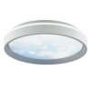 Brilliant LED-Deckenleuchte Sky-Dream, Lichtfarbe einstellbar 3000-6500 Kelvin