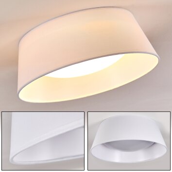 Negio Deckenleuchte LED Weiß, 1-flammig