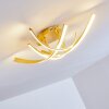 Deckenleuchte Aranu LED Gold, 4-flammig
