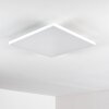 Salmi Deckenpanel LED Weiß, 1-flammig, Fernbedienung