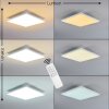 Salmi Deckenpanel LED Weiß, 1-flammig, Fernbedienung
