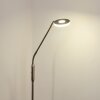 Gulkana Stehleuchte LED Nickel-Matt, 1-flammig, Farbwechsler