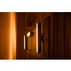 Philips Hue Ambiance White & Color Play Lightbar Doppelpack Basis-Set LED Schwarz, 2-flammig, Farbwechsler