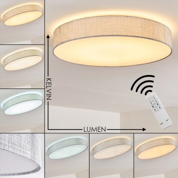 Tallaboa Deckenleuchte LED Silber, 1-flammig, Fernbedienung