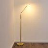 Gulkana Stehleuchte LED Gold, 1-flammig