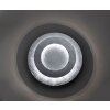 Paul Neuhaus NEVIS Deckenleuchte LED Silber, 1-flammig
