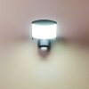 Larvik Außenwandleuchte LED Anthrazit, 1-flammig, Bewegungsmelder