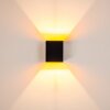Laforsen Wandleuchte Schwarz-Gold, 1-flammig