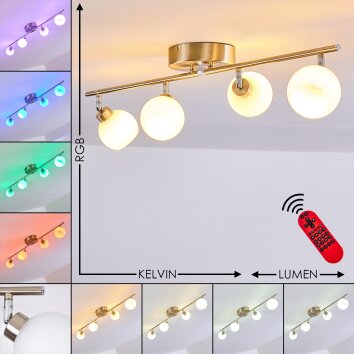 Motala Deckenleuchte LED Nickel-Matt, 4-flammig, Fernbedienung, Farbwechsler