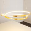 Stalon Pendelleuchte LED Gold, 1-flammig