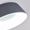 Fremont Deckenleuchte LED Grau, 1-flammig