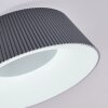 Fremont Deckenleuchte LED Grau, 1-flammig