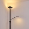 Abiqua Deckenfluter LED Schwarz, 2-flammig