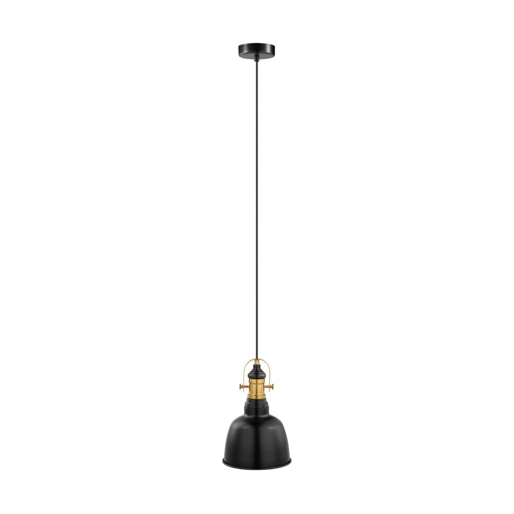 Eglo GILWELL Hängeleuchte Brüniert, Schwarz, 1-flammig main product photo