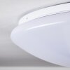 Brighton Deckenleuchte LED Weiß, 1-flammig, Fernbedienung, Farbwechsler