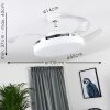 Bendigo Deckenventilator LED Chrom, Transparent, Klar, Weiß, 1-flammig