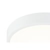 Globo ARCHIMEDES Deckenleuchte LED Glas, 1-flammig