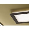 Fischer & Honsel Leuchten Bug Deckenleuchte LED Gold, Rostfarben, 1-flammig, Fernbedienung