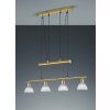 Trio Leuchten LEVISTO Pendelleuchte LED Messing, 4-flammig