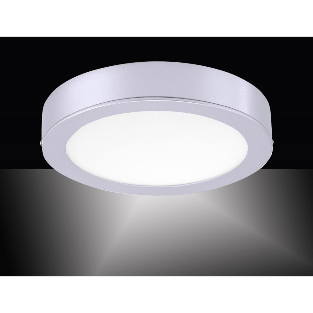 Leuchten Direkt OSKAR Deckenleuchte LED Silber, 1-flammig main product photo