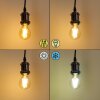 LED Glühbirne Pratoia E27 9 Watt 806 Lumen 2200 - 5500 Kelvin